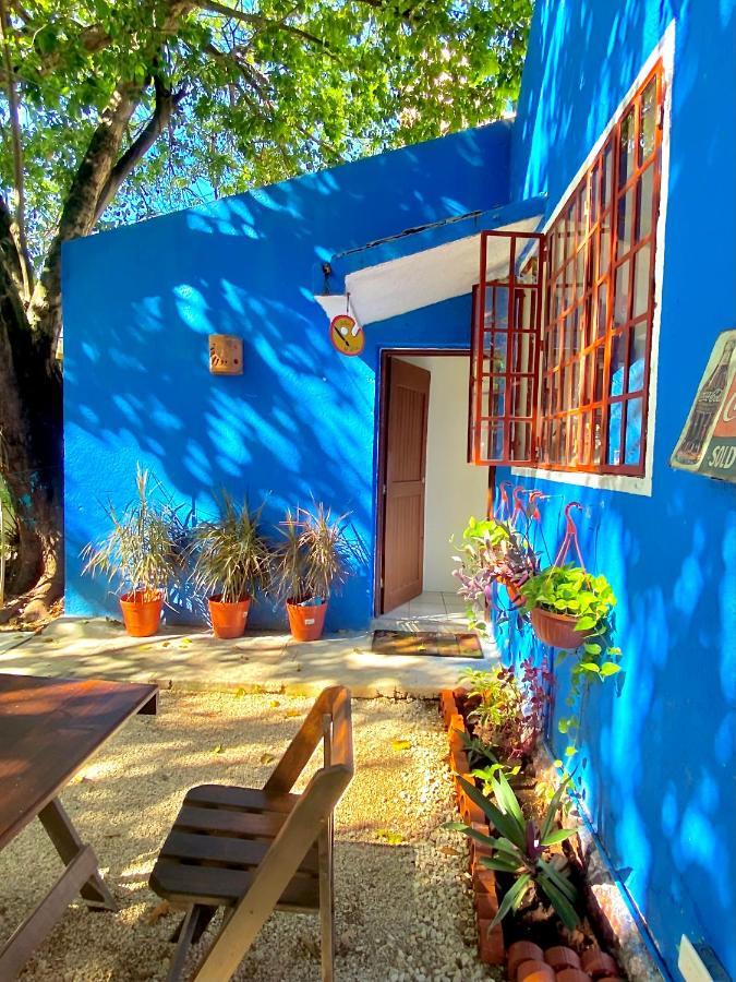Casa Del Artista - B&B Плая-дель-Кармен Экстерьер фото